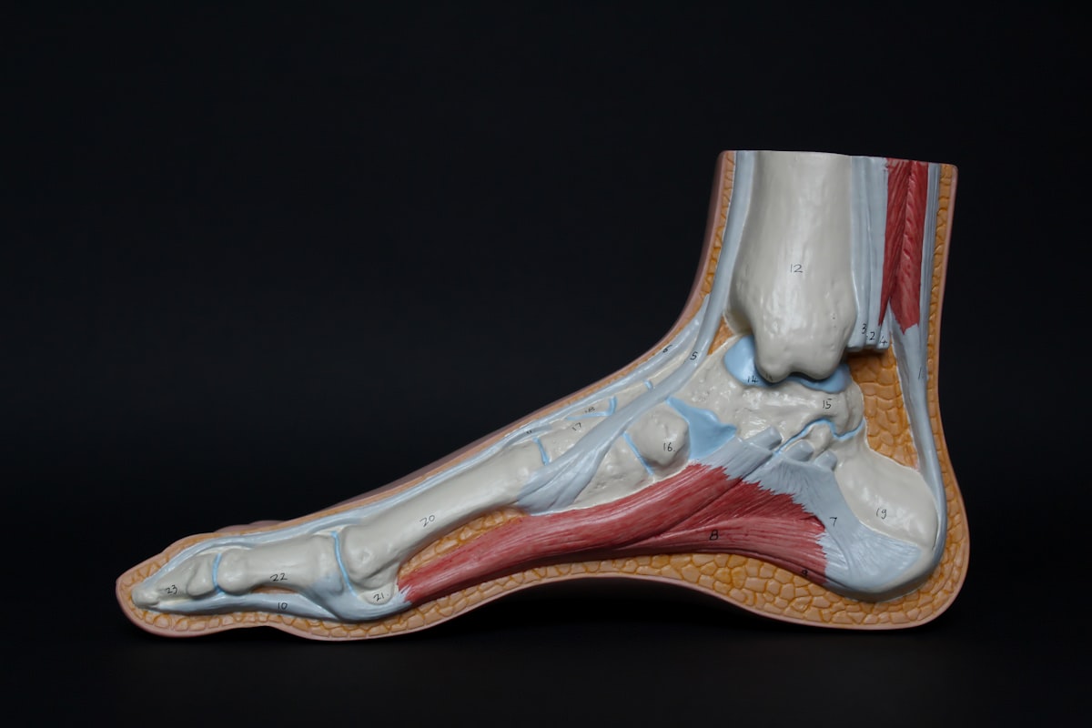 Orthopedische schoenen en inlegzolen